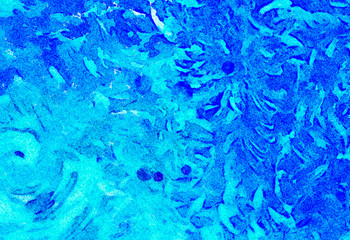 Oil painting style texture background. Hand drawn abstraction on canvas. Multicolor spots. Acrylic fine art.