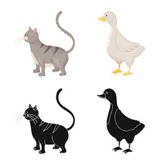 Vector design of breeding and kitchen icon. Set of breeding and organic stock symbol for web.