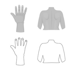 Vector illustration of body and part sign. Set of body and anatomy stock vector illustration.