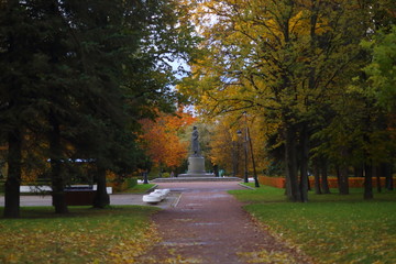 Naklejka premium autumn in the park