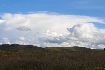 Fototapeta na wymiar Nubes densas sobre el campo abierto