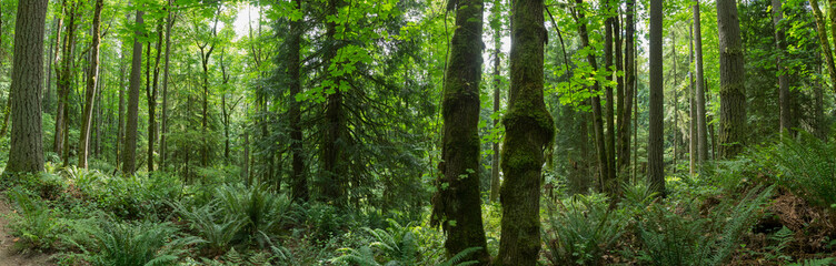 squak state park panorama