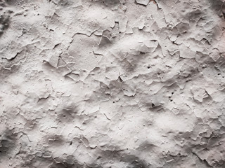 Old white grey wall craquelure texture