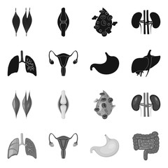 Vector illustration of biology and scientific icon. Set of biology and laboratory stock vector illustration.