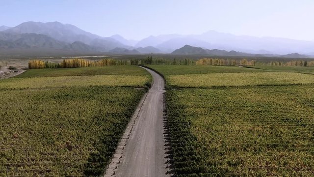 Aerial drone footage of winery in Mendoza, Argentina