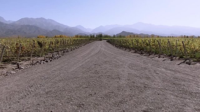 Aerial drone footage of winery in Mendoza, Argentina as couple enjoy the view