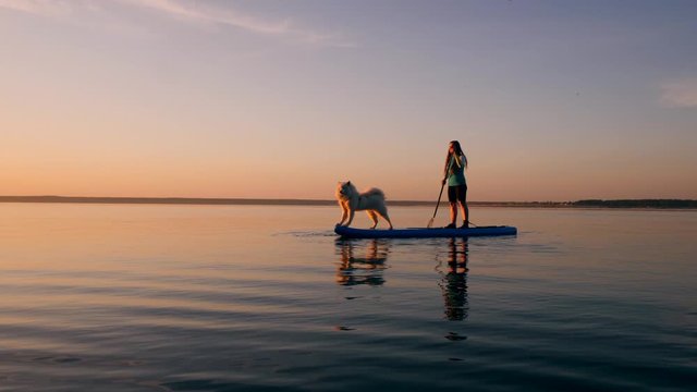 A dog is standing on the paddleboard with its mistress