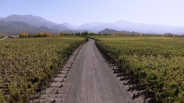 Dramatic aerial drone footage of winery in Mendoza, Argentina