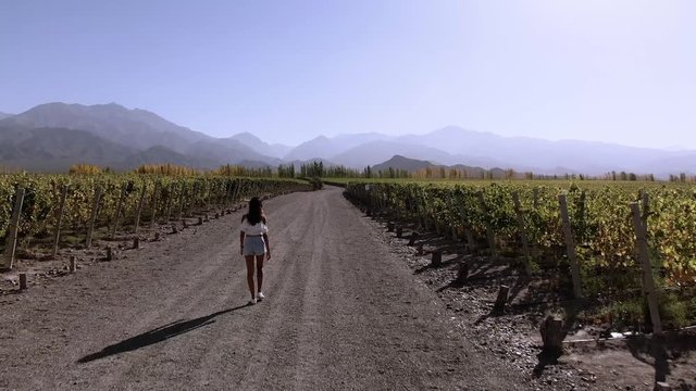 Young woman walking through winery in Mendoza, Argentina with aerial footage showcasing stunning landscapes