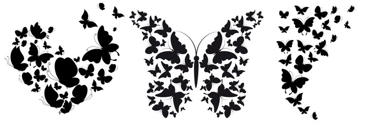 butterfly323