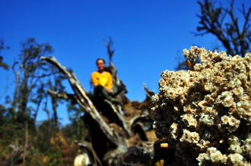 Trekking on the KiQuanSan mountain, Vietnam