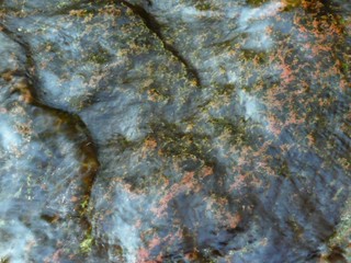 The stone is wet, very beautiful in color.