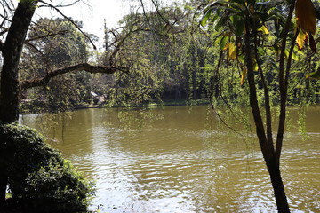 The charms of Aldeia do Imigrante Park one of the main tourist spots of Nova Petrópolis. It was created to rescue and preserve the historical past of the immigrants who colonized this region.