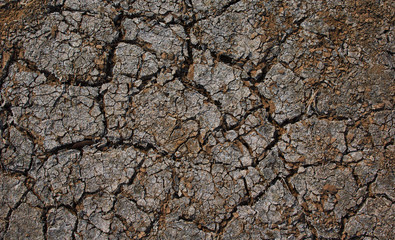 The image of dry and cracked ground that reminds of global warming