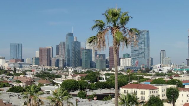 Los Angeles Downtown Aerial Establish Shot Pico Union Palm Trees Left