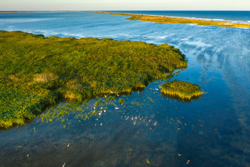 drone view to the lake coast with green grass and flying birds in national park in Ukraine