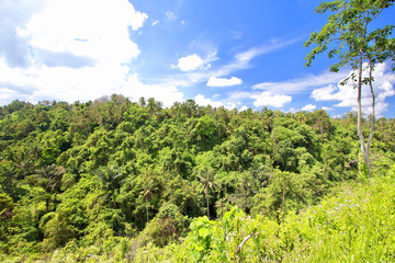 Extensive Indonesian jungle viewed from the Campuhan Ridge Walk, the best known Ubud trek because of the amazing rice paddies nearby, Ubud, Bali.