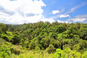 Extensive Indonesian jungle viewed from the Campuhan Ridge Walk, the best known Ubud trek because of the amazing rice paddies nearby, Ubud, Bali.
