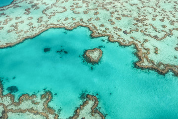 Great Barrier Reef / Whitsundays