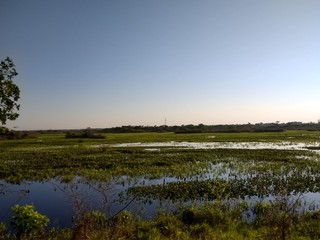 belezas do mato grosso