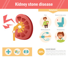 Kidney stone disease Vector. Cartoon. Isolated art on white background. Flat