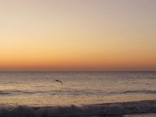 Sunrise at Rehoboth Beach 