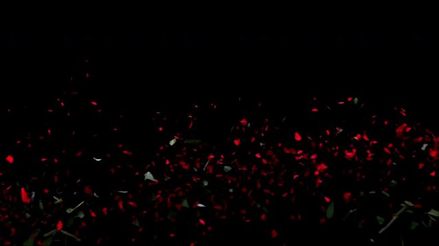 two lovely red rose kiss petals fall apart destroyed alpha matte