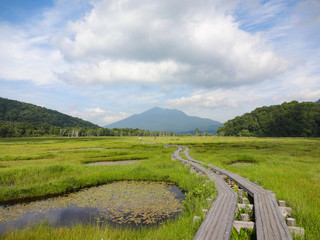 Fototapeta premium 夏の尾瀬と燧ヶ岳,The Oze National Park(Japan)