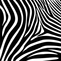 Zebra stripes pattern, vector illustration.