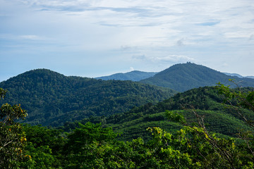 Fototapeta na wymiar landscape with mountains and trees
