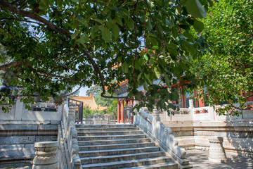 The summer palace of Beijing China ancient architect and landscape kunming lake garden