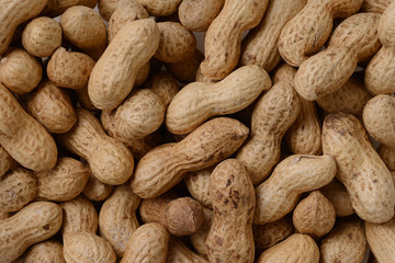 落花生　ピーナッツ