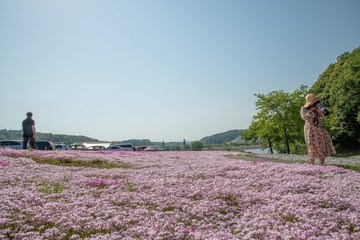 東京ドイツ村