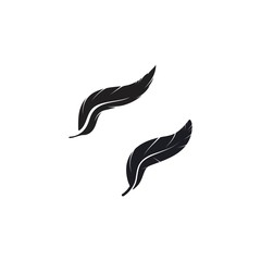 feather logo vector template