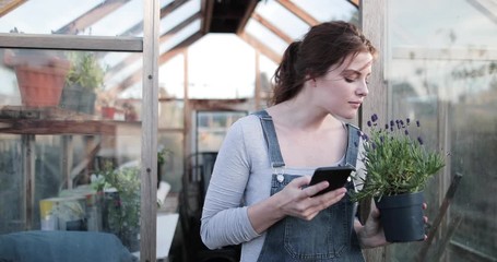 Young adult female using gardening app on smartphone