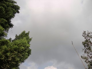 Dark cloud in the morning, overcast cloud photo