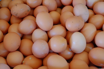 varoius brown eggs fresh from farm