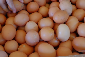 varoius brown eggs fresh from farm