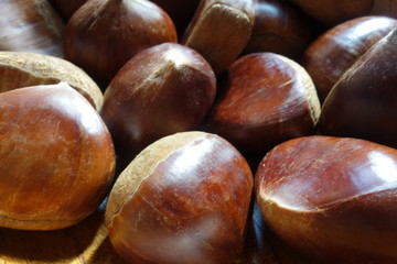 たくさんの栗の実