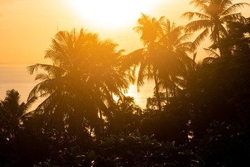 tropical sunset on phi phi don thailand