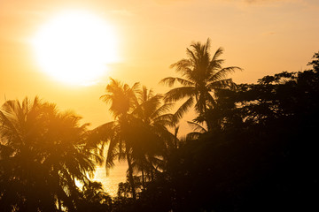 tropical sunset on phi phi don thailand