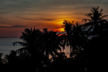 Fototapeta na wymiar tropical sunset on phi phi don thailand