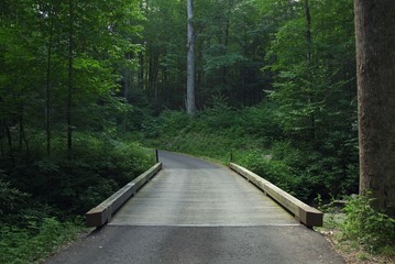 Obraz premium Bridge in forest