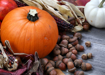 Thanksgiving pumpkin with acorns and corn on rustic wooden background