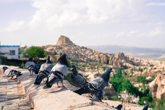 pigeon valley with uchisar castle, cappadocia, goreme, turkey