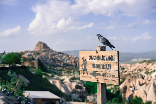 pigeon valley cappadocia, goreme, turkey