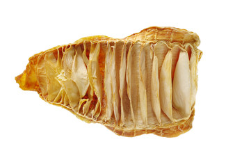 Dry young bamboo shoot on white background