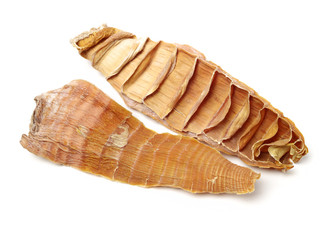 Dry young bamboo shoot on white background