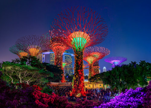 Garden Rhapsody, Colorful Light Show At The Supertree Grove Gardens By The Bay In Singapore, Popular Tourist Attraction