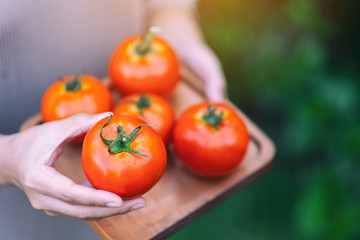 A woman holding a fresh tomatoes in a wooden tray
